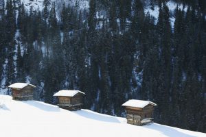 snowy stadels in Klosters